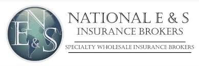 National E&S